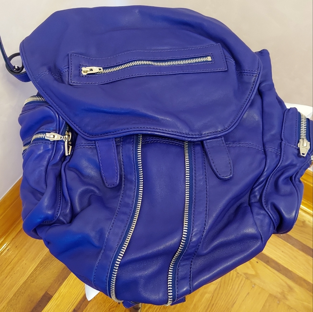 Alexander Wang Backpack - Picture 4 of 12